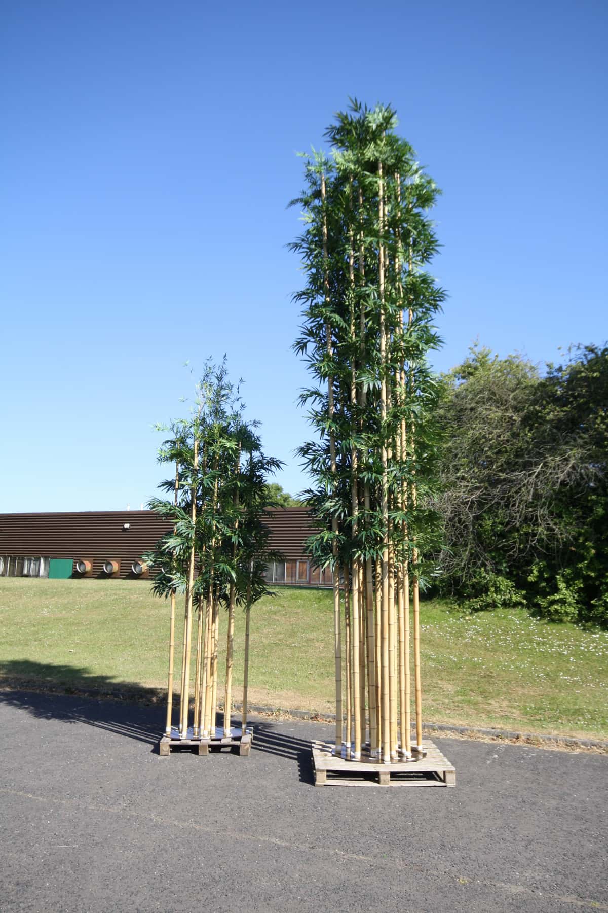 Bespoke Artificial Bamboo Trees Design Example